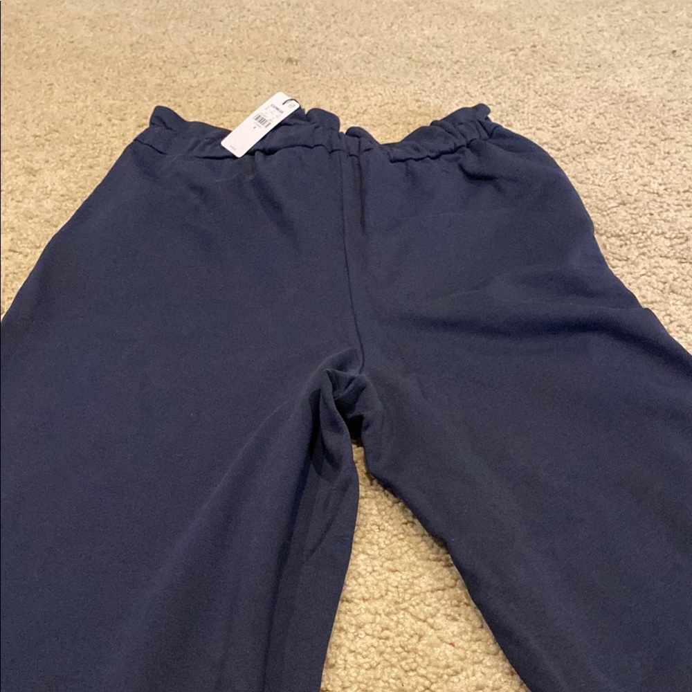 Express Blue Flare Pants with Dramatic Silhouette - Picture 8 of 10